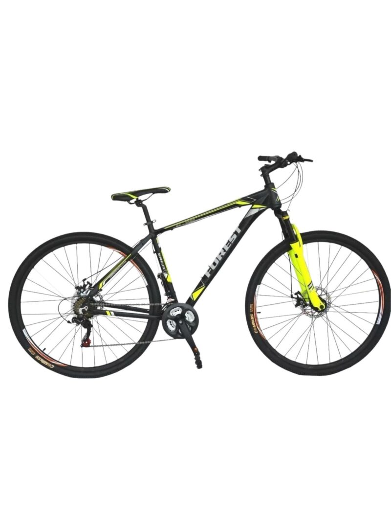 Forest Rodado 29 Cuadro de Aluminio 21v